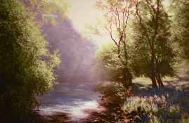Michael James Smith (British b.1976) a limited edition colour print, a woodland river scene,