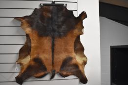 A Wild Boar hide measuring approx 80cm x 70cm
