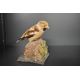 A Taxidermy study of a Haw finch mounted perched upon a rock - Image 1 of 2