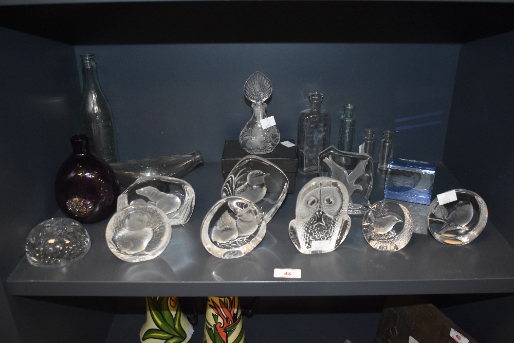 A group of clear and frosted glass paperweights depicting wild birds, some etched underneath '
