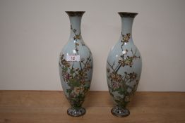 A pair of Japanese Cloisonne enamel vases, decorated with cherry blossoms on a pale blue ground,