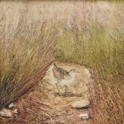 Neil Simone (British b.1947) oil on board 'Corncrack(e)' depicted within tall grass, signed lower
