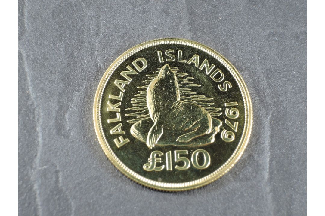 A 1979 Falkland Islands £150 Gold Coin, Southern Sea Lion to reverse, Uncirculated in plastic - Image 2 of 3