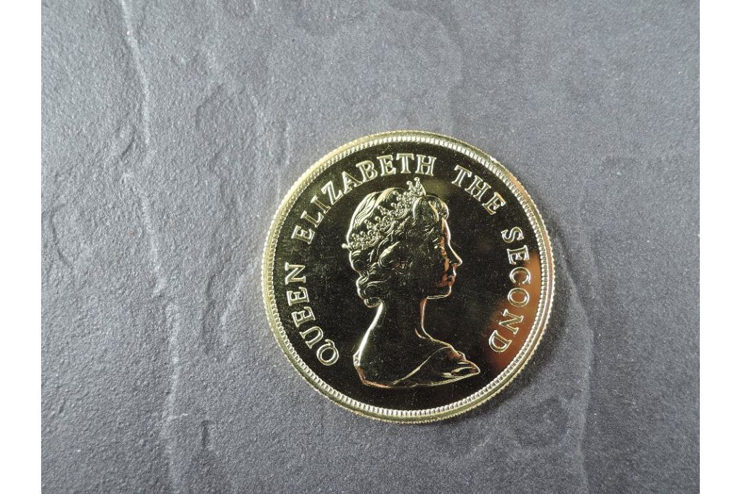 A 1979 Falkland Islands £150 Gold Coin, Southern Sea Lion to reverse, Uncirculated in plastic - Image 1 of 3