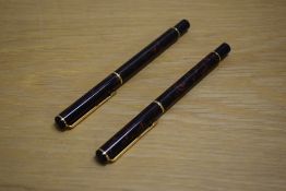 Two Parker Rialto converter fill fountain pens in Aqua Dusk
