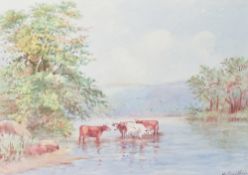 H Smithbirt (British 19th/20th century) watercolour, cattle watering, within an oak mount and
