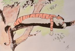 After Bill Watterson (American b.1958) ink and watercolour wash cartoon, Hobbes asleep on a