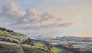 Local interest* P.H Marriner (British 20th century) oil on board, pleasing local landscape, signed