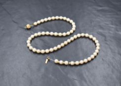 A single row of cultured pearls, having a white to cream lustre interspersed with gold beads and a