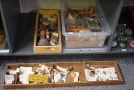 A large group of gems, fossils and mineral specimens, to include north island sulphur crystals