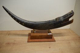 A carved cow horn fish figure supported on an oak base, L59cm
