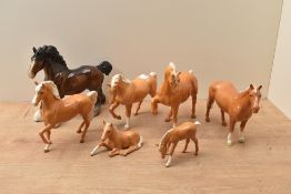 Six Beswick Pottery Palomino horses and foals, all in gloss finish.