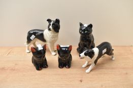 A group of five amateur studies comprising two sheepdogs large and small and three black cats.