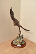 Border Fine Arts Birds by Russell Willis 'Flying Eagle' model number A1277, measures 39cm tall.