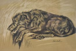 After Gill Evans (British contemporary) a limited edition colour print, Schnauzer seated, within a