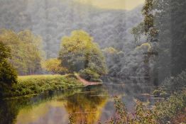 After David Smith (British b.1949) limited edition colour giclee print 'Summer Glory' a pleasing