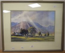 Local interest* P.H Marriner (British contemporary) watercolour, pleasing lakeland pastoral scene