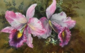 George H. Dewsberry (19th Century) oil on board, flora, signed lower right, within gilt mount and