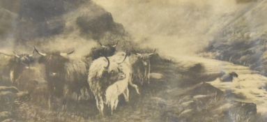 Artist unknown, monochrome print depicting highland cattle by a river, within dark wood mount and