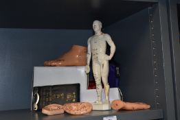 An unusual late 20th century Chinese made acupuncture set sold together with five moulded rubber