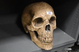 A large decorative resin medical replica skull with closed jaw, H25cm