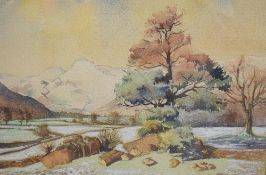 Local interest* C Catterall (British 20th/21st century) watercolour 'Late Autumn - Langdales Lake