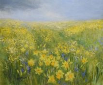 Muriel MacLeod (Contemporary) oil on board, depicting daffodilis and bluebells in a field, signed
