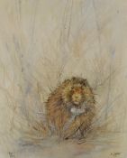 Kate Wyatt (British contemporary) a limited edition colour print 'Elsweth' depicting a rodern,