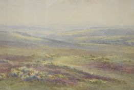 Charles Edward Brittan II (British 1870-1949( watercolour, The Walkham Valley, Dartmoor, pastoral