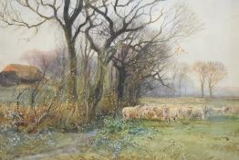 Henry Charles Fox (British 1855-1929) watercolour, pastoral scene with sheep, signed and dated