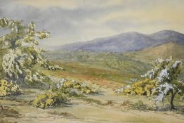 Artist unknown, a 20th century English school watercolour, pastoral landscape, indistinctly signed