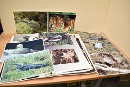 A portfolio of coloured photographs of fauna and flora by BT Knowles, (45)