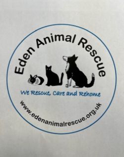 Charity Auction in aid of Eden Animal Rescue