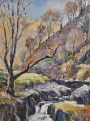 Jennings (local contemporary) oil on board, Branthwaite, autumnal riverscene, signed lower right,