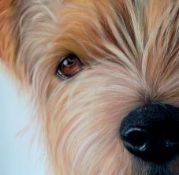A pet portrait 17cm x 25cm from Jenny G Artistry of your favourite pet
