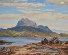 David W. Jackson (American b1951) oil on board, a mountainous landscape, signed lower left,