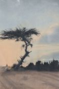 B Sing (20th century) charcoal and chalks, landscape and dusk with prominent tree, signed lower