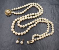 A double row of graduated cultured pearls, having a cream lustre with a decorative yellow metal