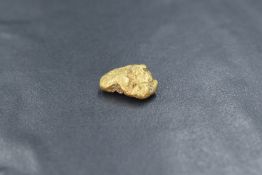 A gold nugget measuring approximately 1.5cm x 1cm, 3.1g