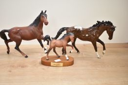 Beswick Pottery foal 'Springtime' in matt finish to wooden plinth model number 2387 by Graham Tongue