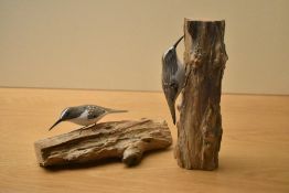 A pair of wooden 'Treecreeper' carvings on naturalistic wooden sections, both measuring 25cm.