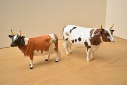 Two Beswick pottery Ayrshire cattle comprising Ayrshire Bull CH. 'Whitehall Mandate' second