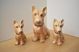 A group of three Sylvac pottery terriers, model numbers 1207 and 1209, largest measures 28cm.