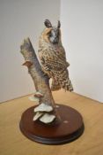 A Border Fine Arts 'Barn Owl' study, model number RB15 by Ray Ayres, measuring 30cm tall. Damage