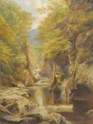Local interest* George Harrison (British 1840-1910) oil on canvas, lakeland ghyll, signed lower