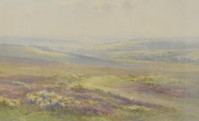 Charles Edward Brittan II (British 1870-1949( watercolour, The Walkham Valley, Dartmoor, pastoral