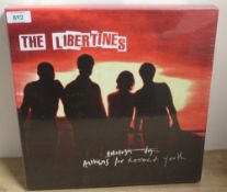 A Libertines ' Anthems for Doomed Youth ' sealed 2015 box set with vinyl and 2 cd's - superb limited