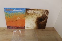 A lot of two albums by Country Rock / Power Pop band ' Dropkick ' both in EX/EX