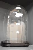 A large 19th century hand blown oval glass display dome, supported on an ebonised base, h42
