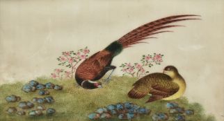 Two Chinese paintings on rice paper, depicting Pheasants and other birds, each within stepped card